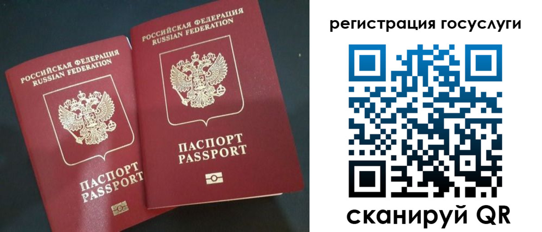 временная регистрация недорого в Ельне
